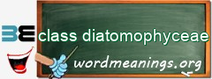 WordMeaning blackboard for class diatomophyceae